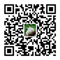 除塵設(shè)備_脫硝脫硫設(shè)備_污水處理_煙氣粉塵治理_唐山鉑銳環(huán)?？萍加邢薰?/></div>
      <!--二維碼結(jié)束-->
      <div   id=